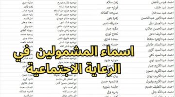 أسماء المشمولين بالرعاية الاجتماعية العراق الوجبة السابعة.. وهذا رابط الاستعلام 